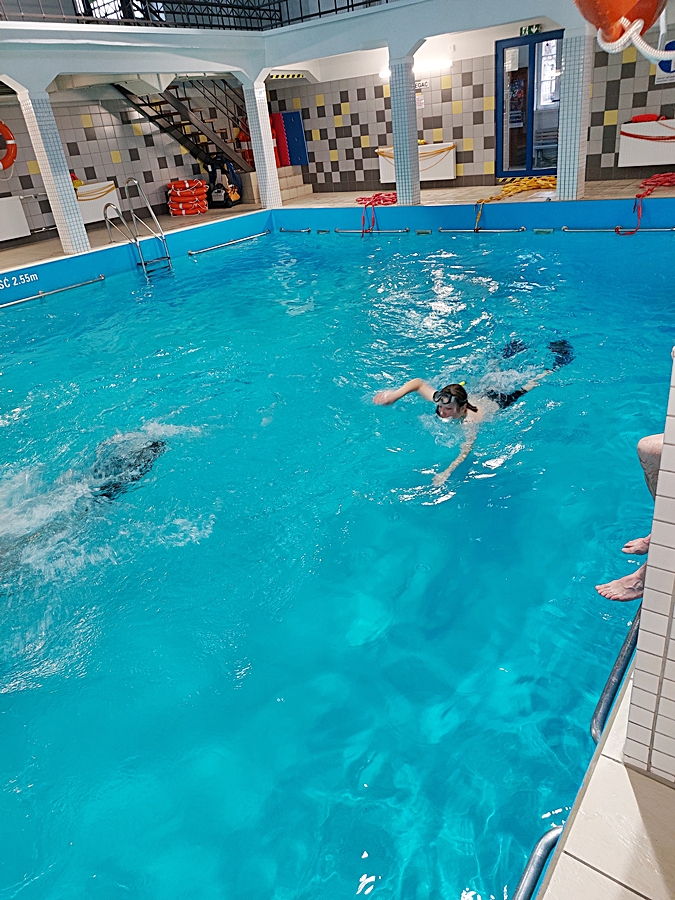 Hokej pod wodą Walenie Siemianowice Śląskie Trening 14 XII 2024